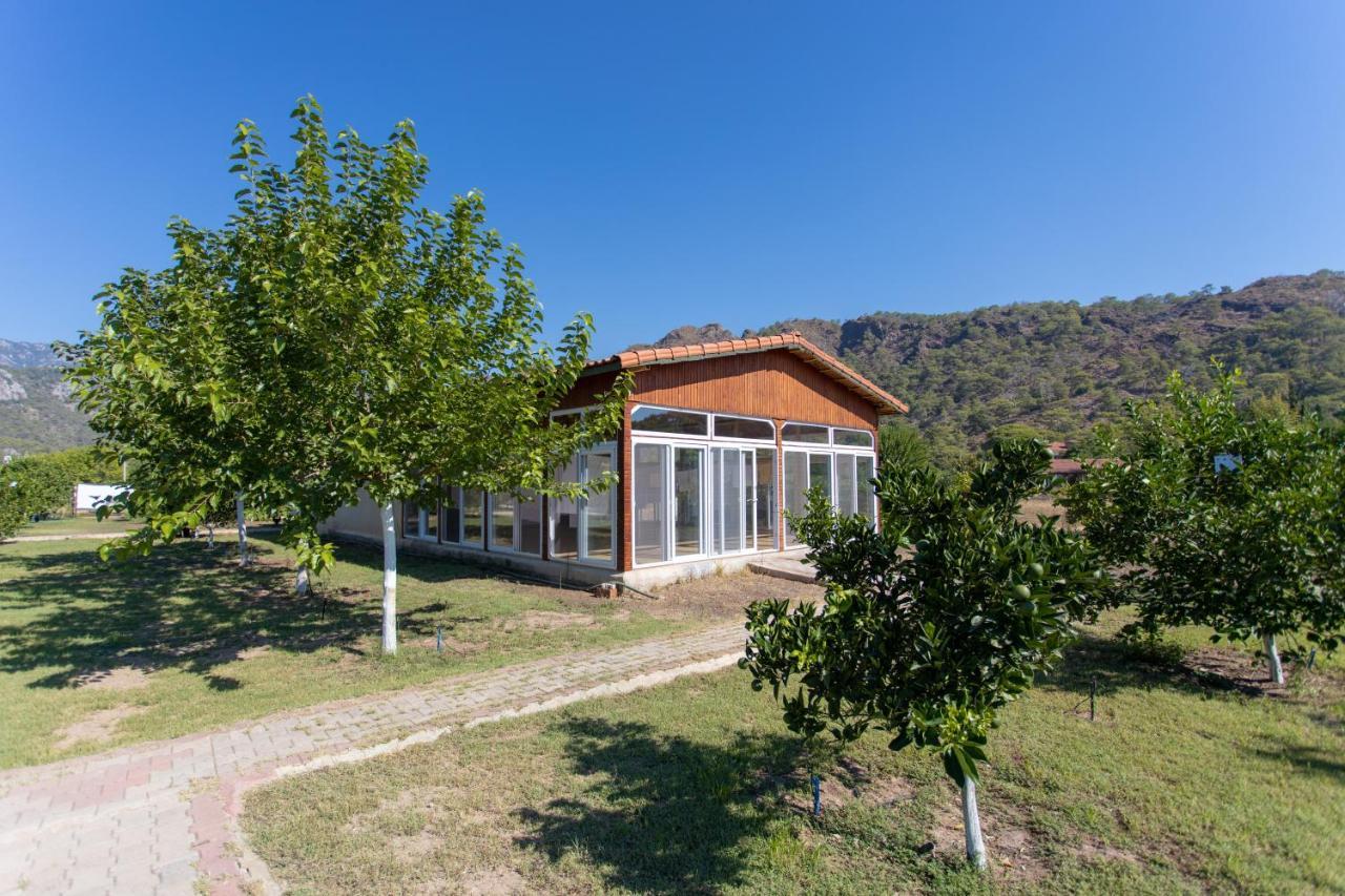 Ugur Pansiyon Bungalows Çıralı Exterior foto