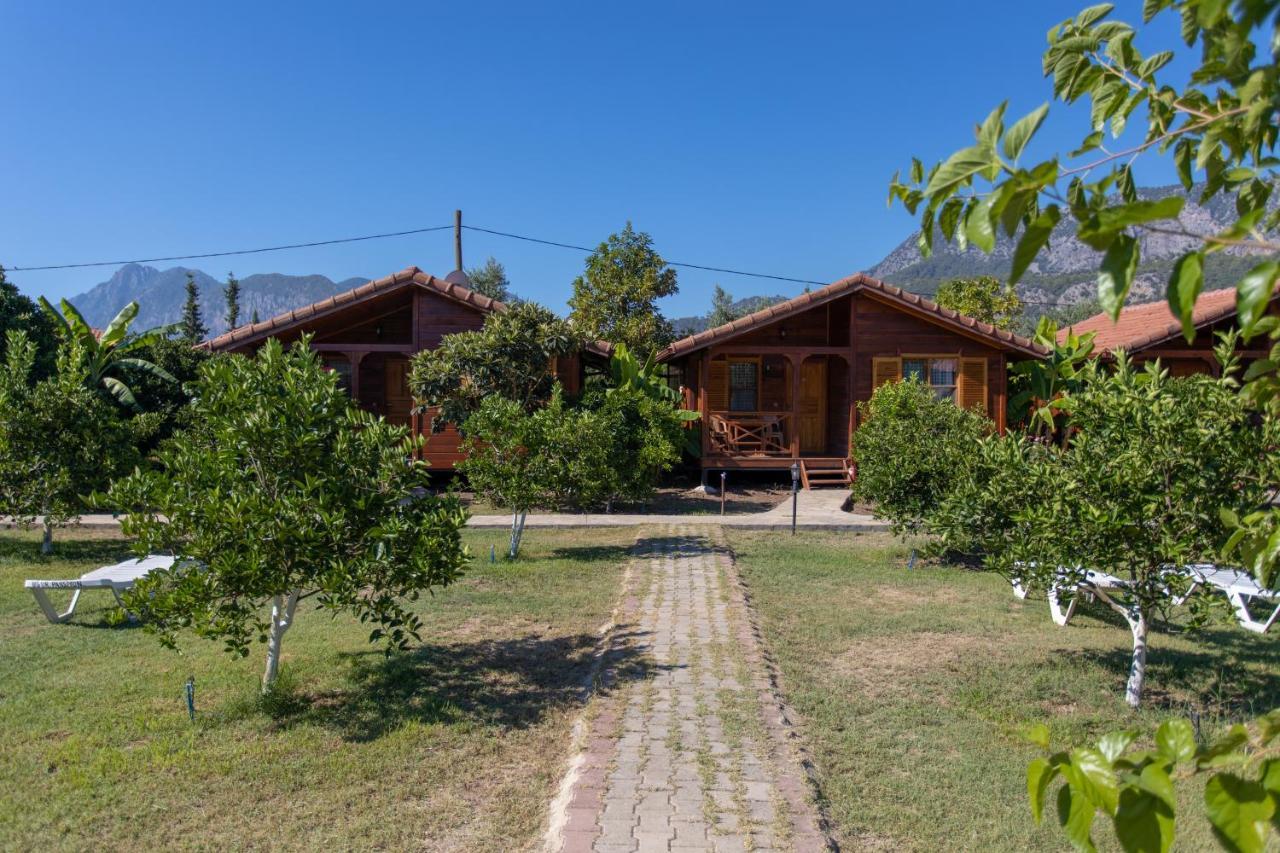 Ugur Pansiyon Bungalows Çıralı Exterior foto